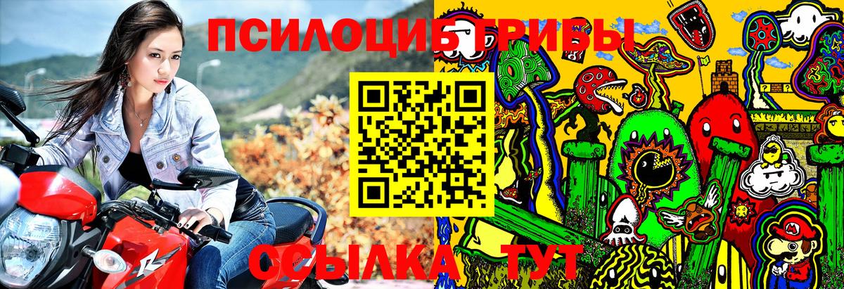 Псилоцибиновые грибы прущие грибы Юрга