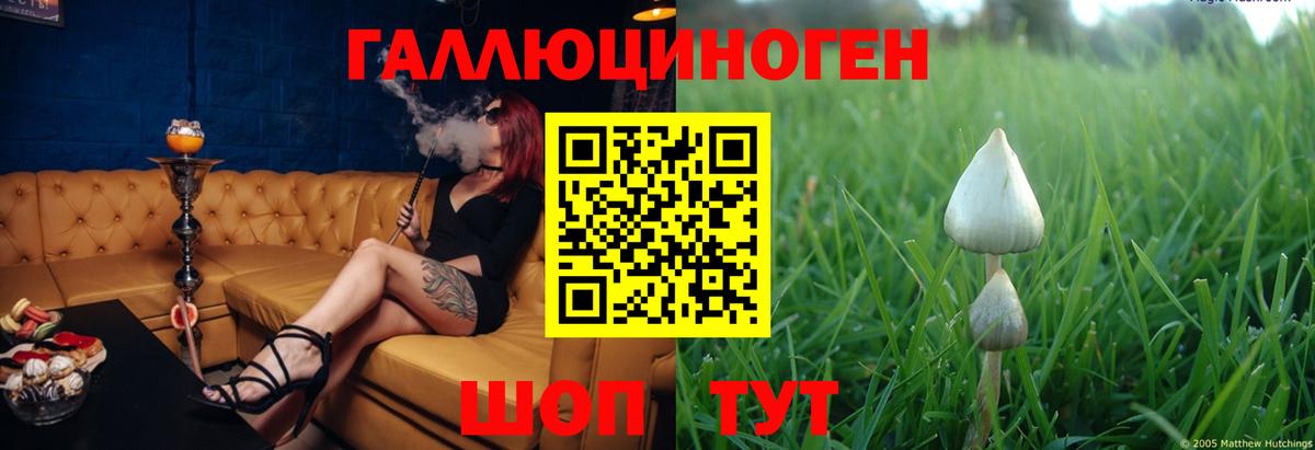 Псилоцибиновые грибы GOLDEN TEACHER  Вход с VPN  Юрга 